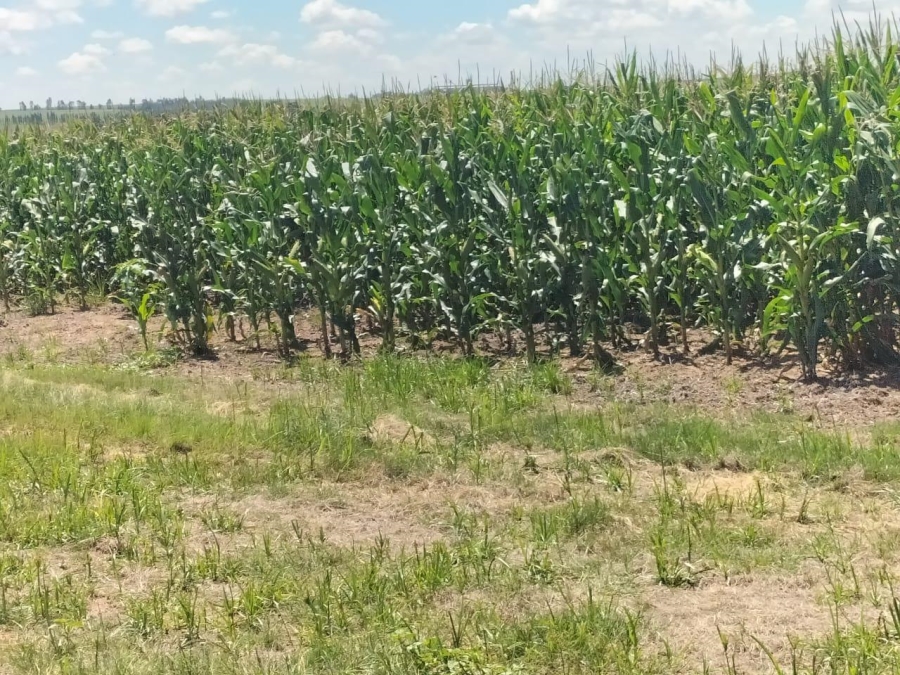 2 Bedroom Property for Sale in Bethlehem Rural Free State